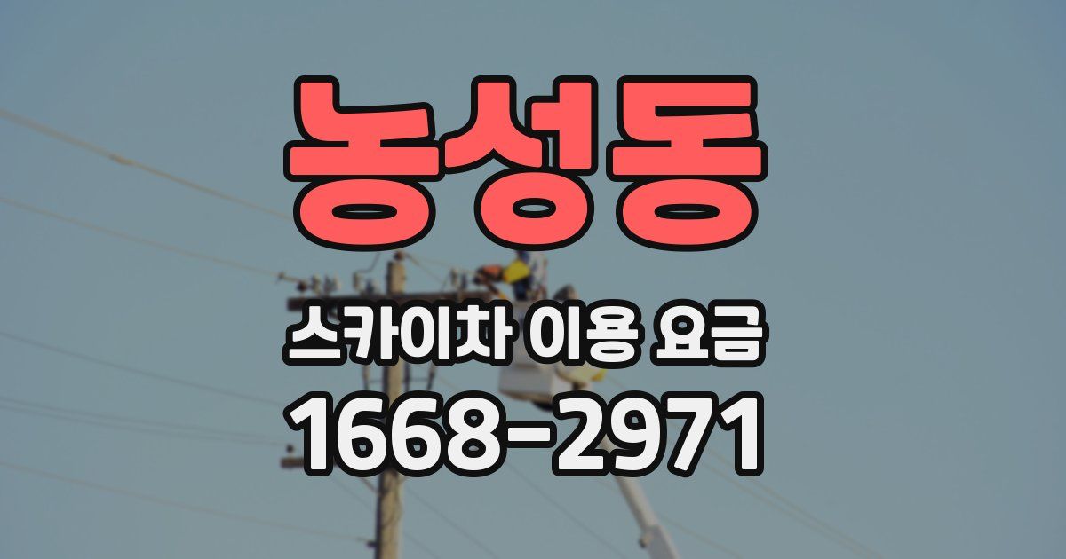 농성동 스카이차 이용 요금