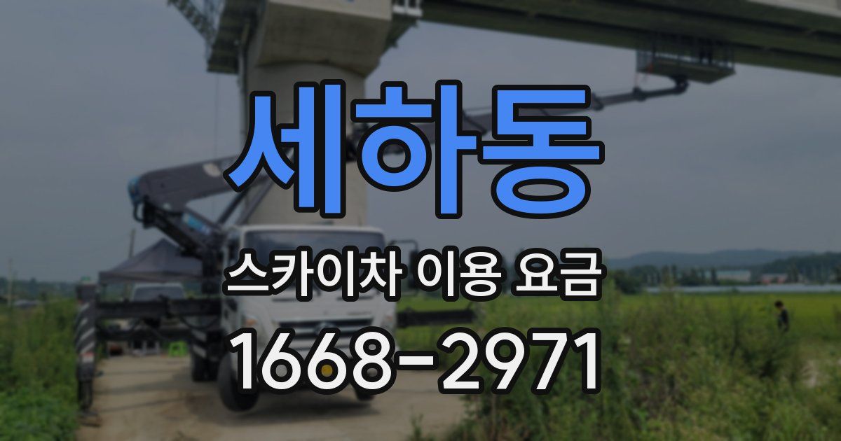 세하동 스카이차 이용 요금