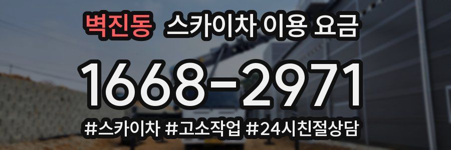 벽진동 스카이차 이용 요금
