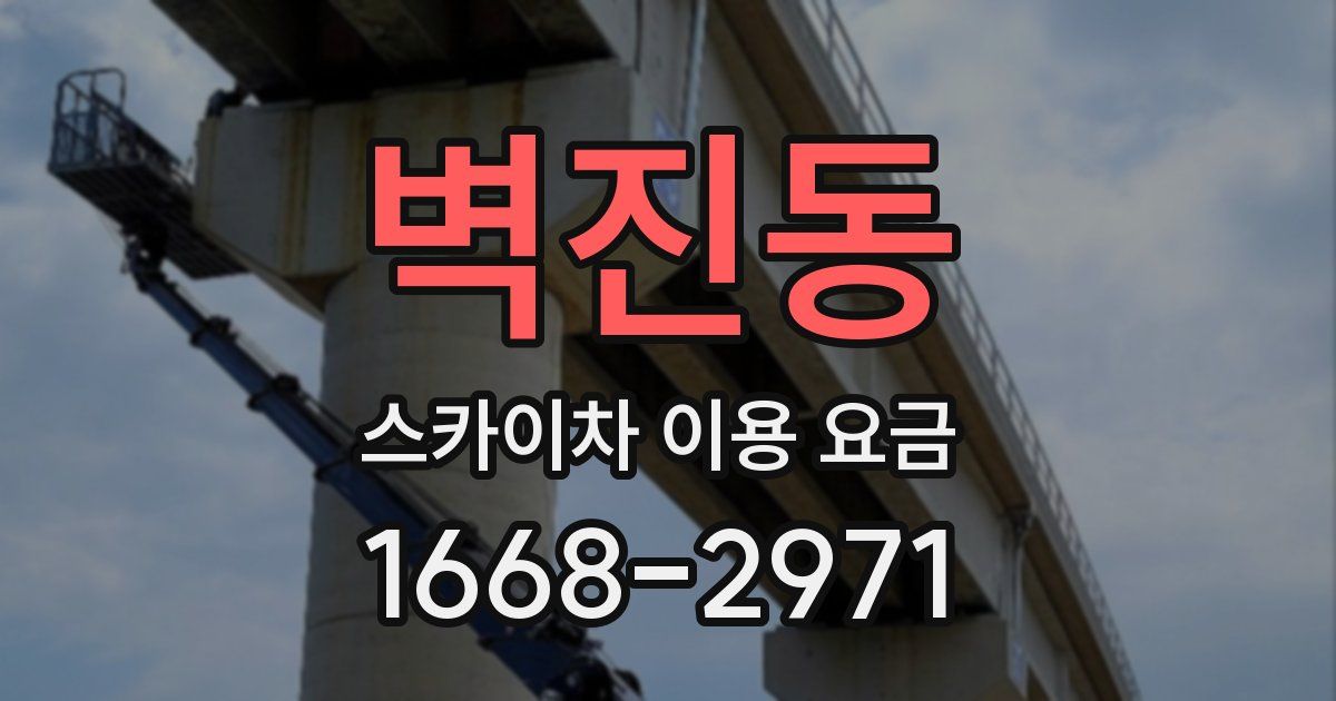 벽진동 스카이차 이용 요금