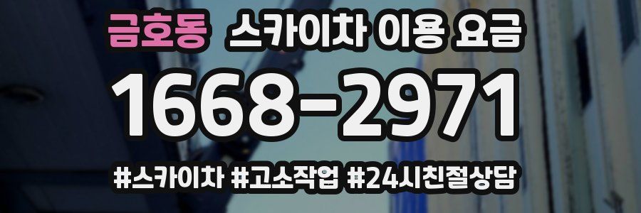 금호동 스카이차 이용 요금