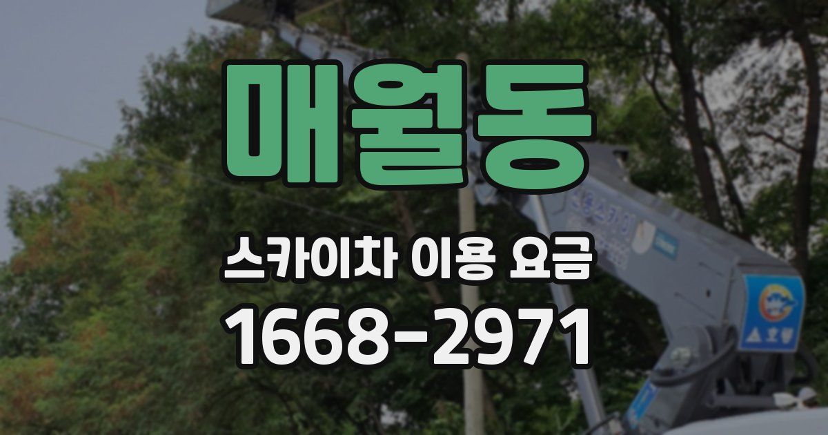 매월동 스카이차 이용 요금