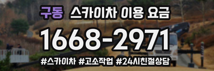 구동 스카이차 이용 요금