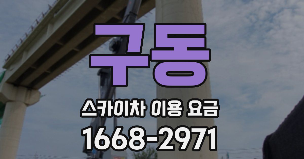 구동 스카이차 이용 요금