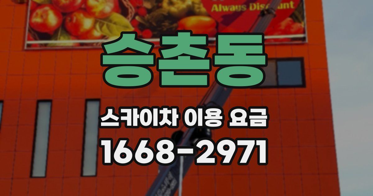 승촌동 스카이차 이용 요금