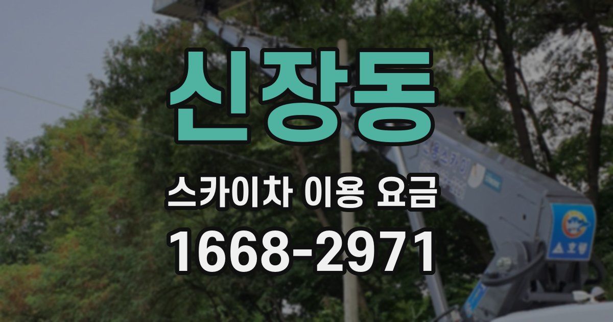 신장동 스카이차 이용 요금