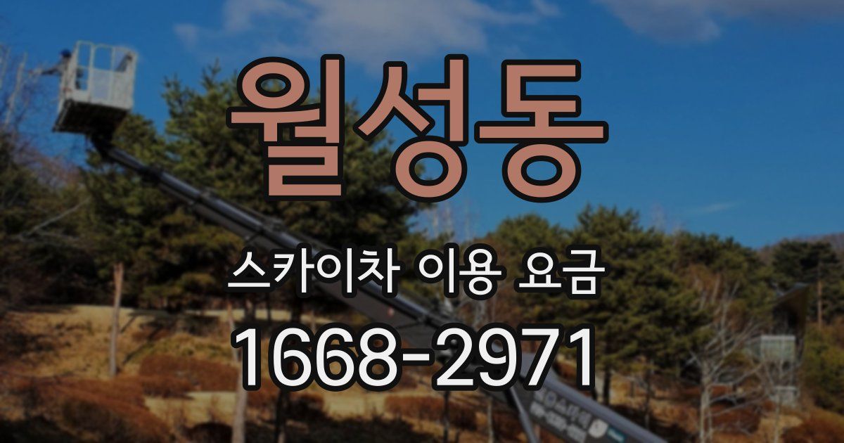 월성동 스카이차 이용 요금