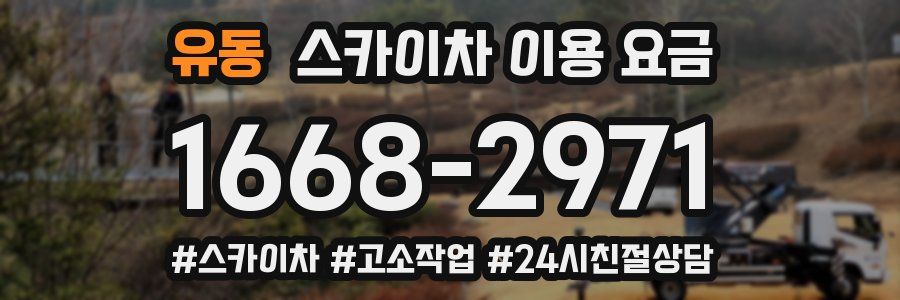 유동 스카이차 이용 요금