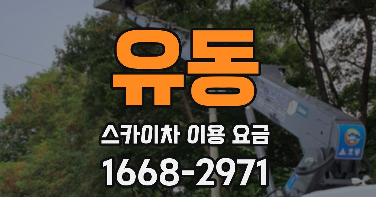 유동 스카이차 이용 요금