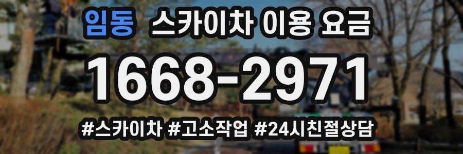 임동 스카이차 이용 요금