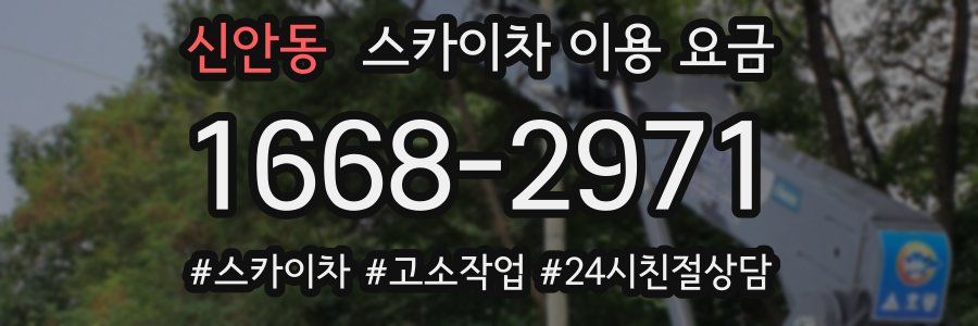 신안동 스카이차 이용 요금