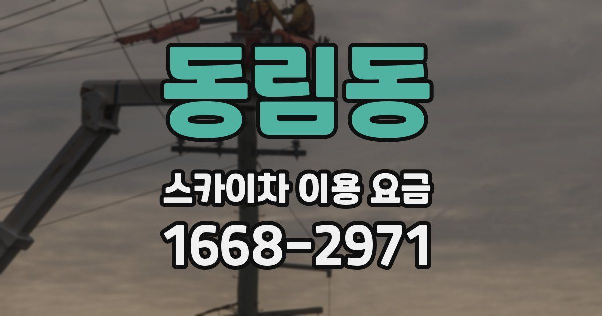 동림동 스카이차 이용 요금