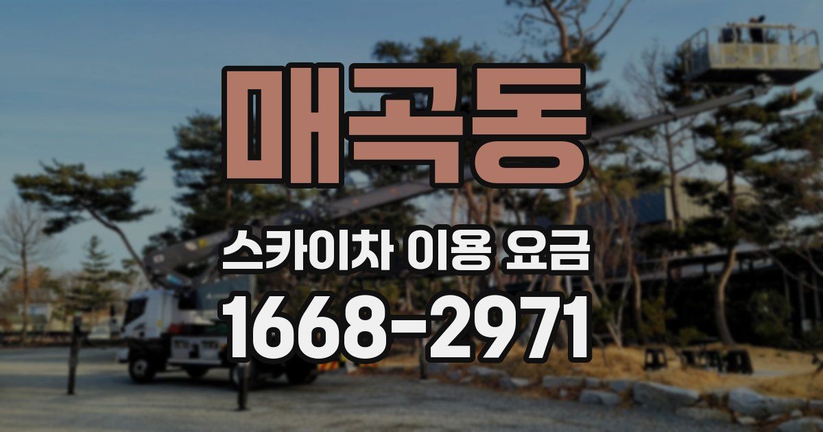매곡동 스카이차 이용 요금
