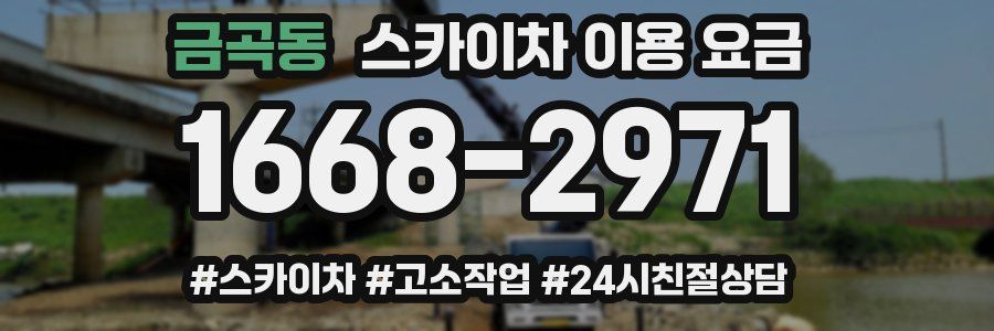 금곡동 스카이차 이용 요금