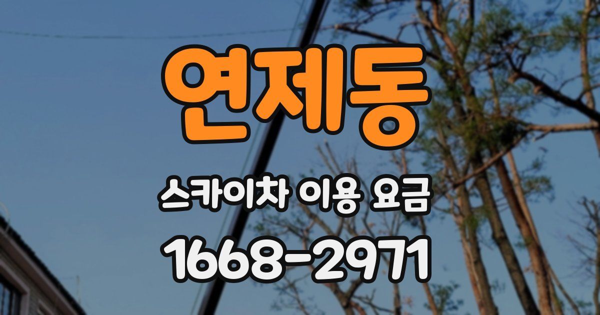 연제동 스카이차 이용 요금