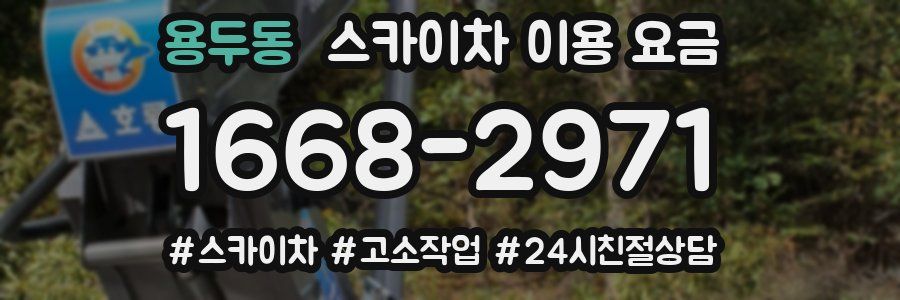 용두동 스카이차 이용 요금