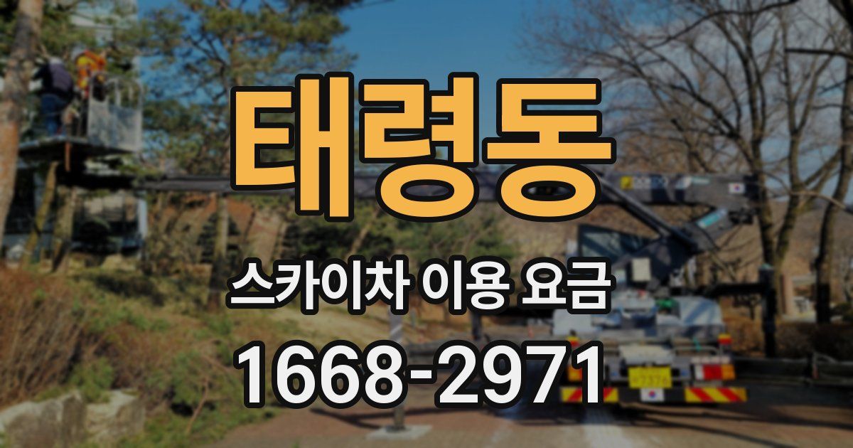 태령동 스카이차 이용 요금
