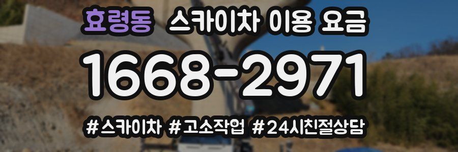효령동 스카이차 이용 요금