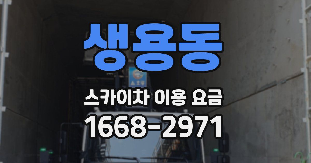 생용동 스카이차 이용 요금