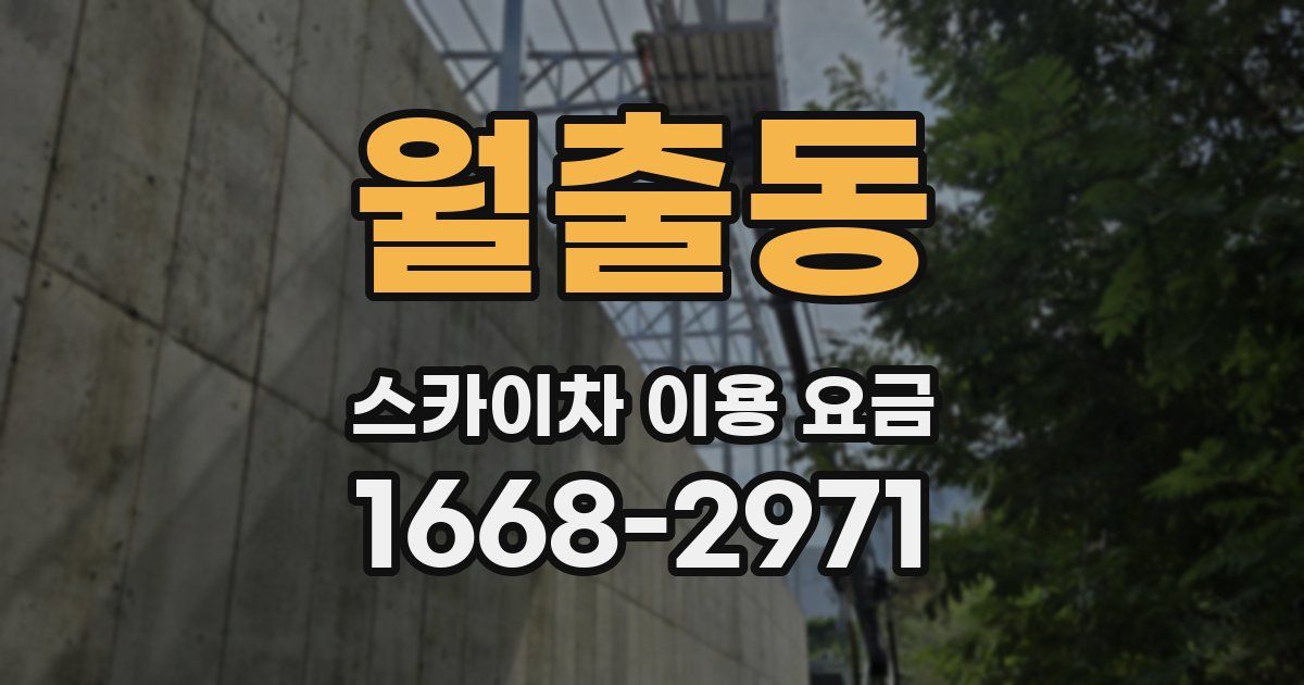 월출동 스카이차 이용 요금