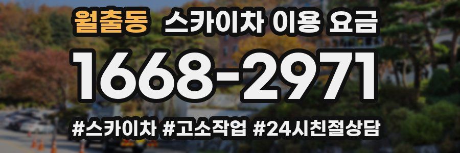 월출동 스카이차 이용 요금