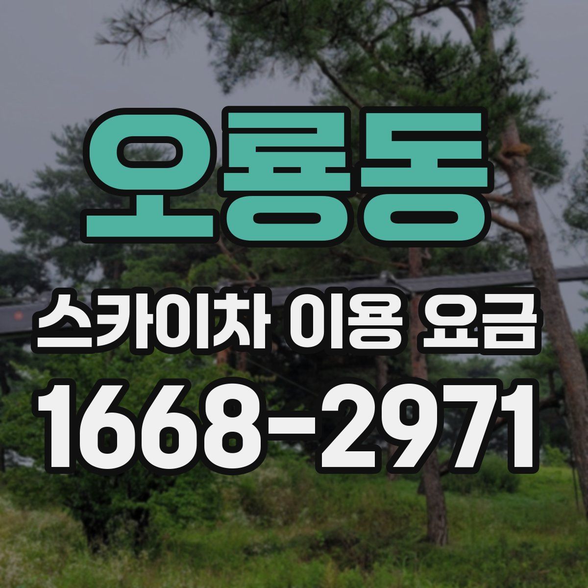 오룡동 스카이차 이용 요금
