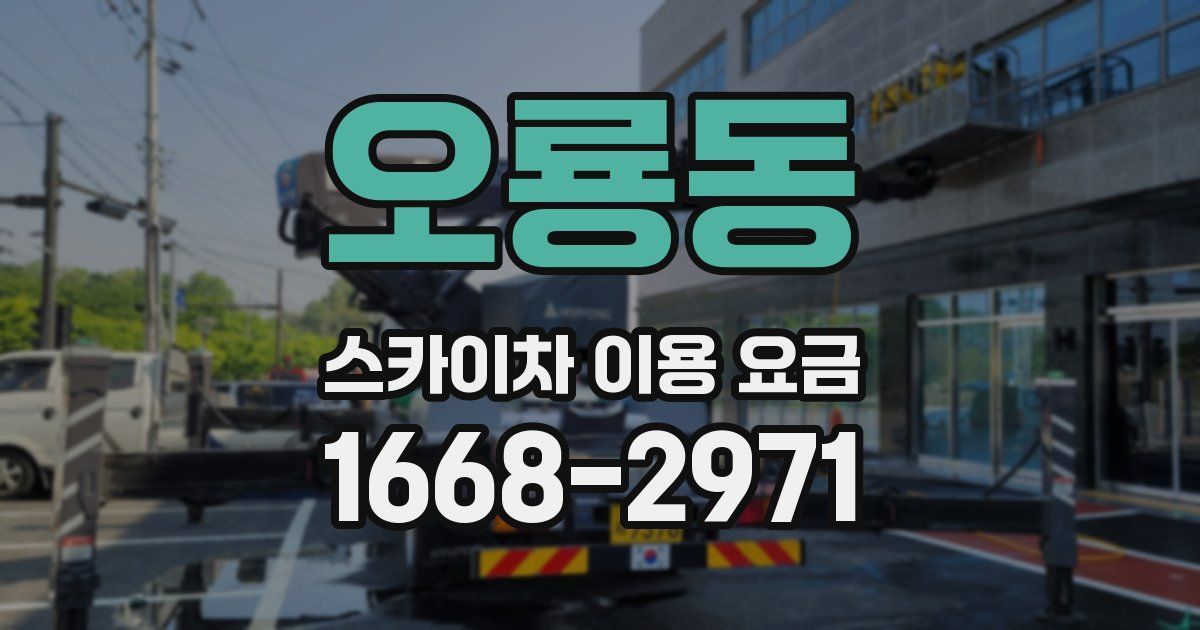 오룡동 스카이차 이용 요금