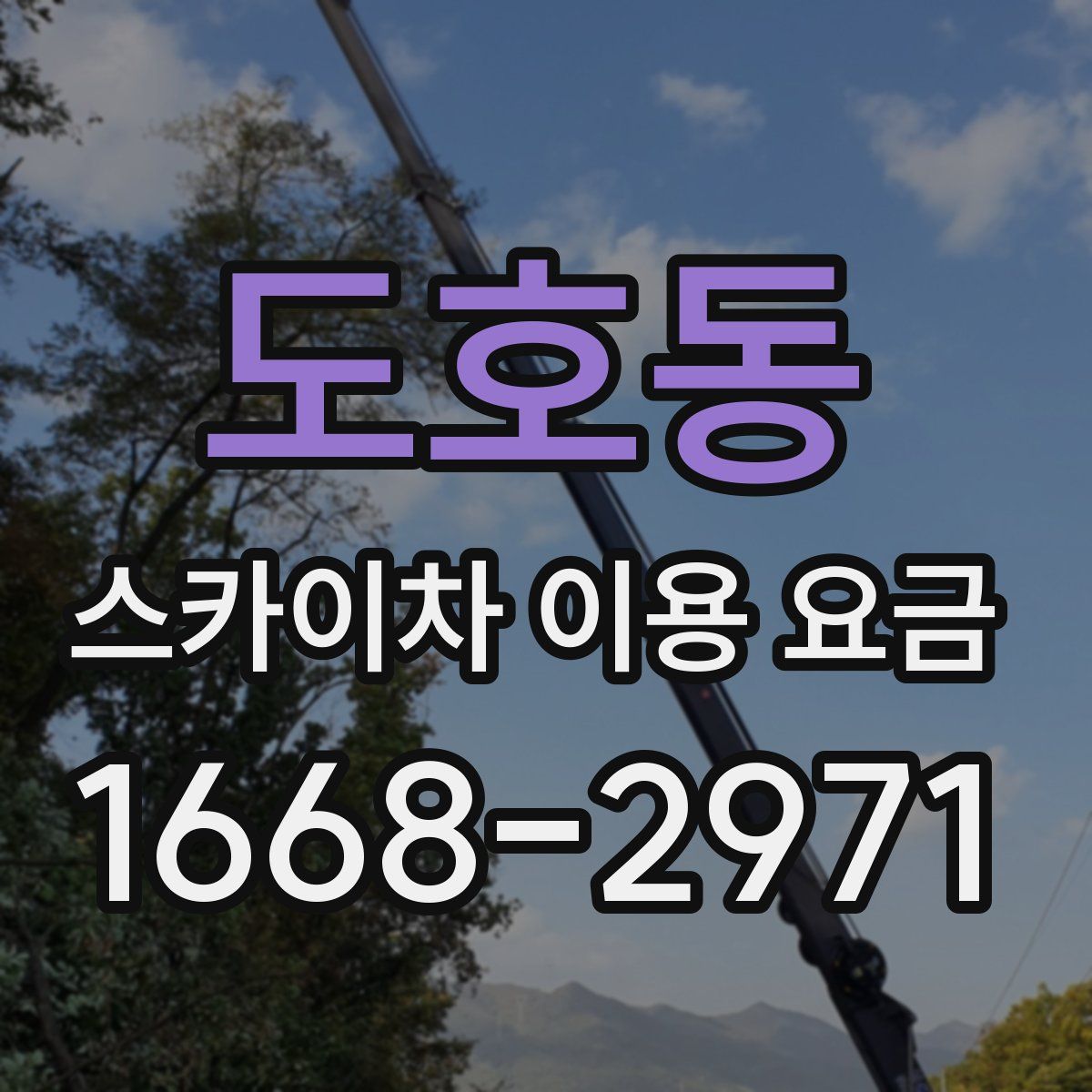 도호동 스카이차 이용 요금