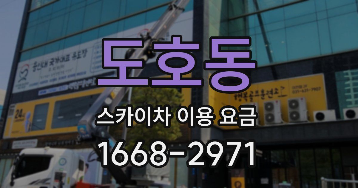 도호동 스카이차 이용 요금