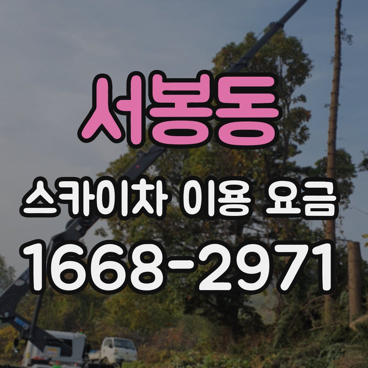 서봉동 스카이차 이용 요금