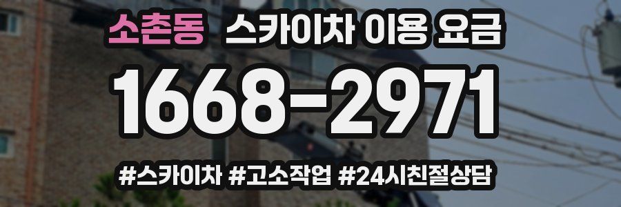 소촌동 스카이차 이용 요금