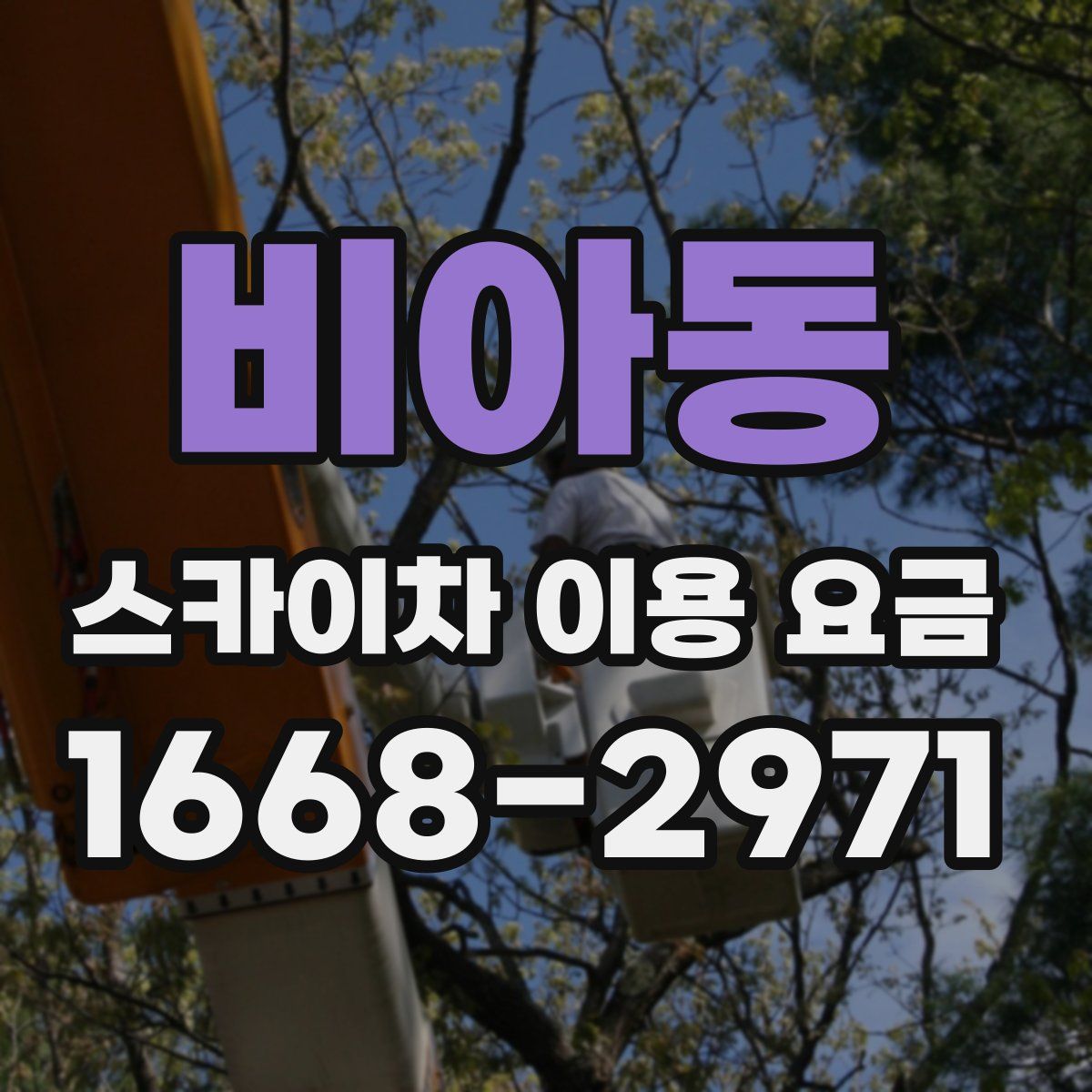 비아동 스카이차 이용 요금