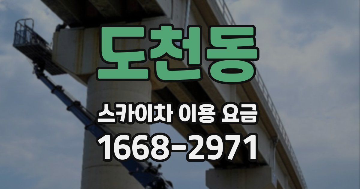 도천동 스카이차 이용 요금