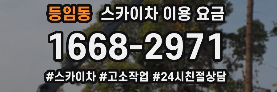 등임동 스카이차 이용 요금
