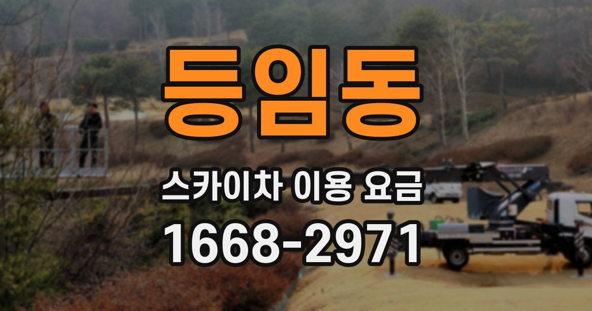 등임동 스카이차 이용 요금