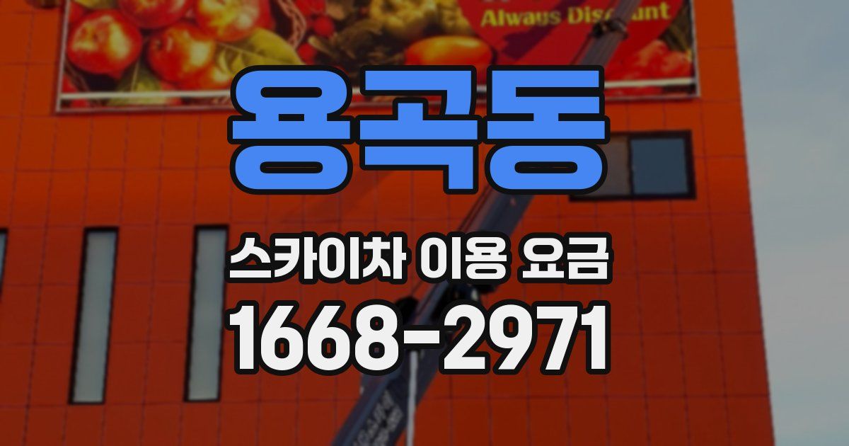 용곡동 스카이차 이용 요금