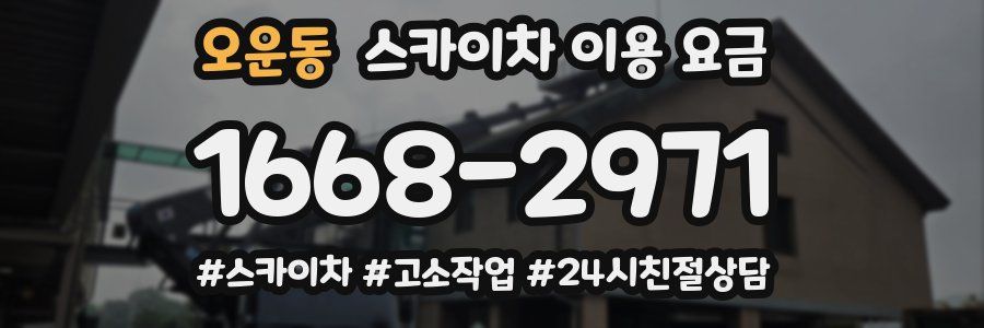 오운동 스카이차 이용 요금