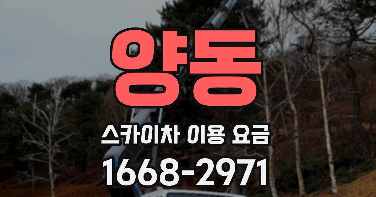 양동 스카이차 이용 요금