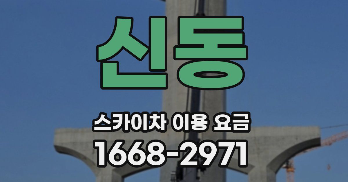 신동 스카이차 이용 요금