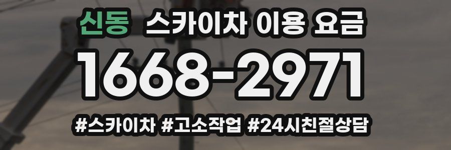 신동 스카이차 이용 요금