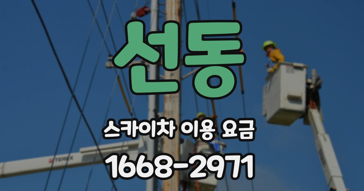 선동 스카이차 이용 요금