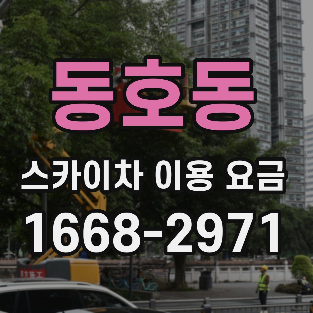 동호동 스카이차 이용 요금
