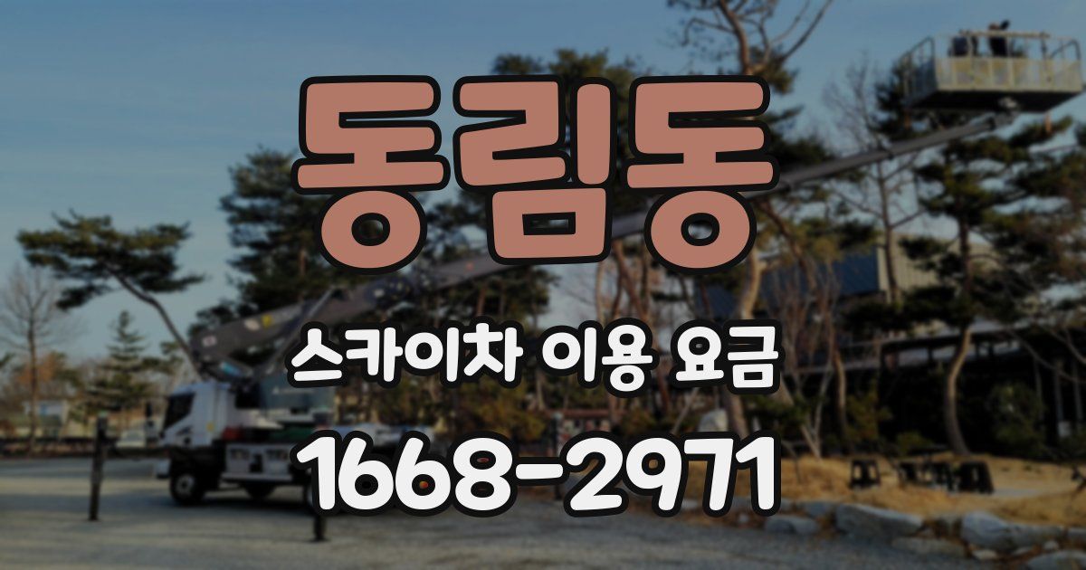 동림동 스카이차 이용 요금