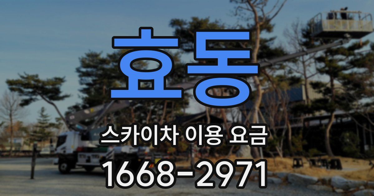 효동 스카이차 이용 요금
