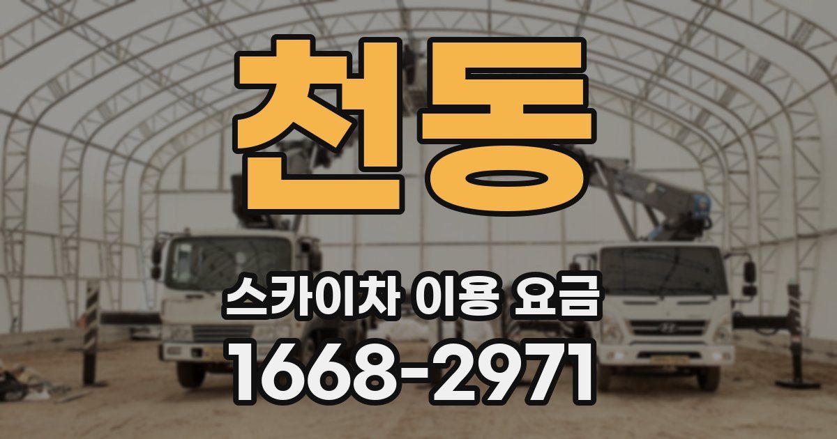 천동 스카이차 이용 요금
