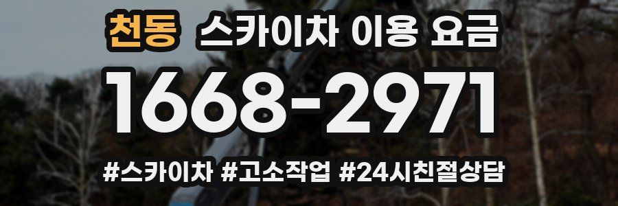 천동 스카이차 이용 요금