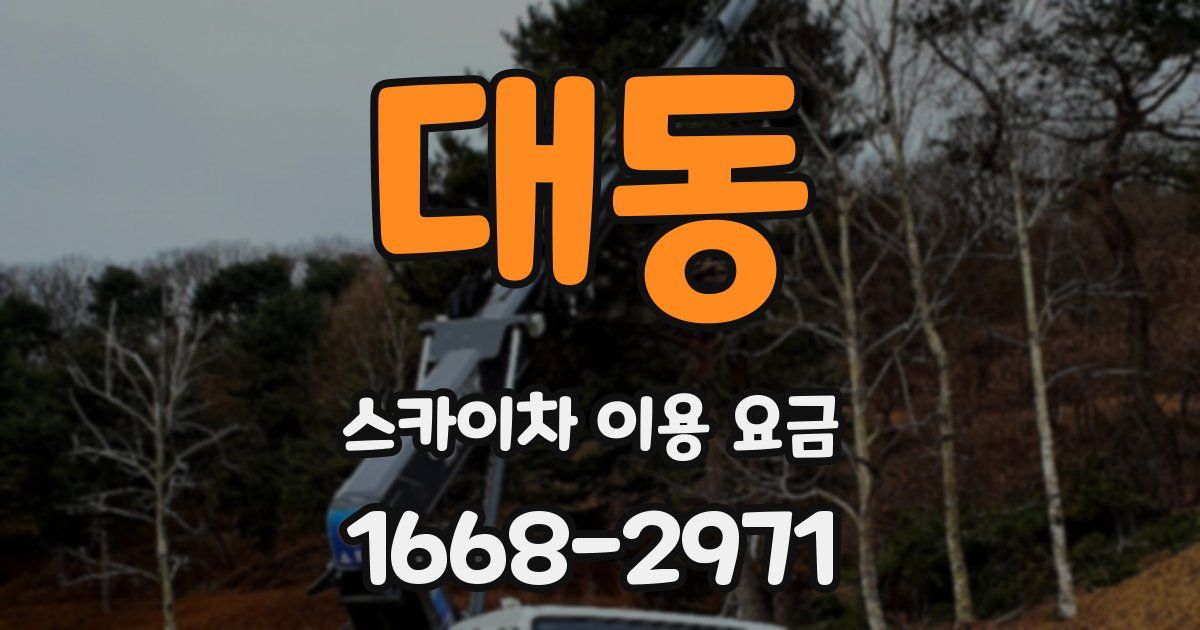 대동 스카이차 이용 요금