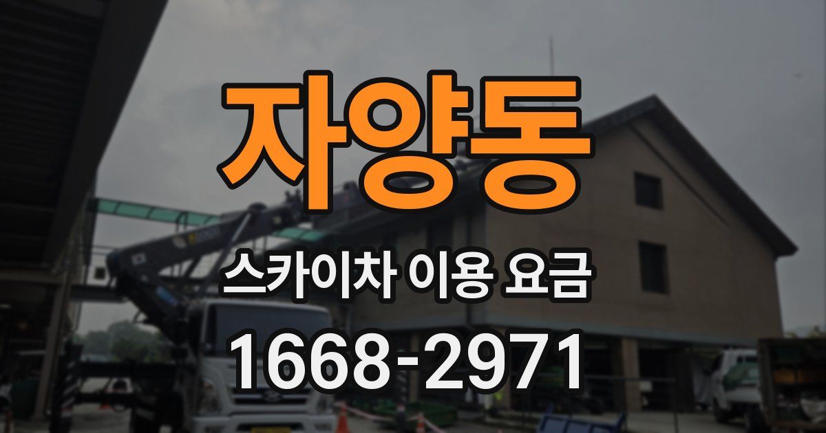 자양동 스카이차 이용 요금