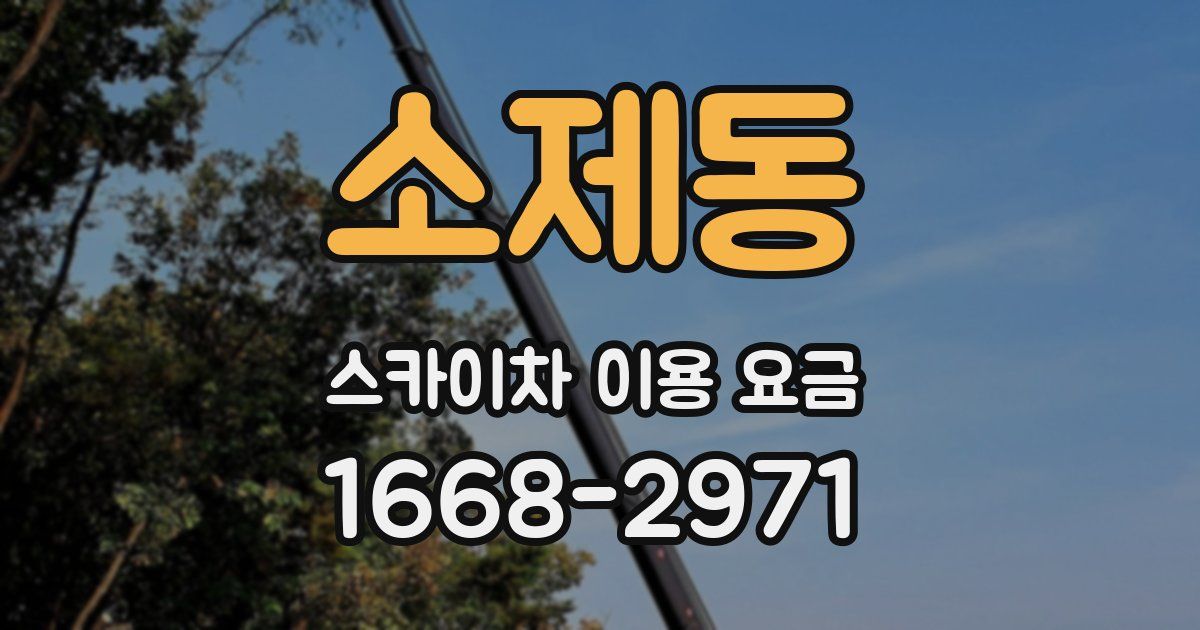 소제동 스카이차 이용 요금