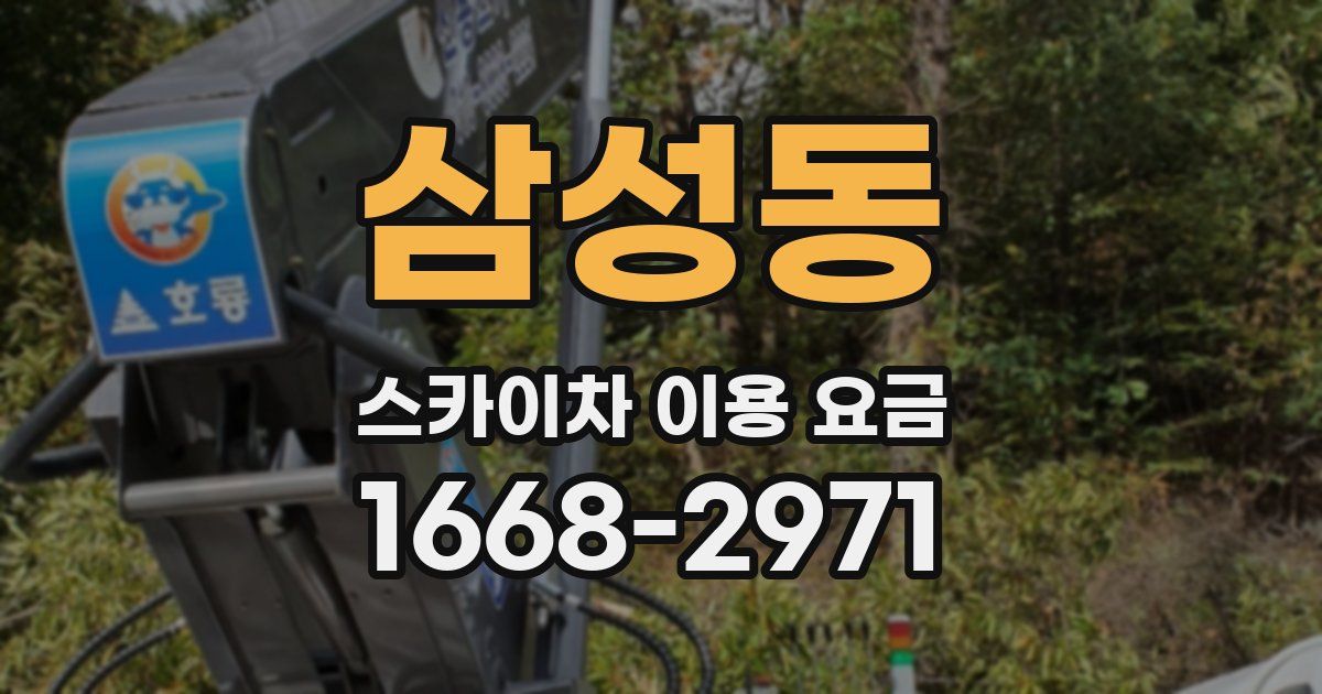 삼성동 스카이차 이용 요금
